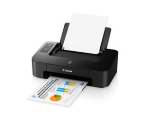 Canon PIXMA TS207