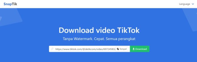 Paste URL Video TikTok