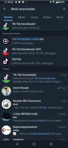 TikTok Downloader Telegram